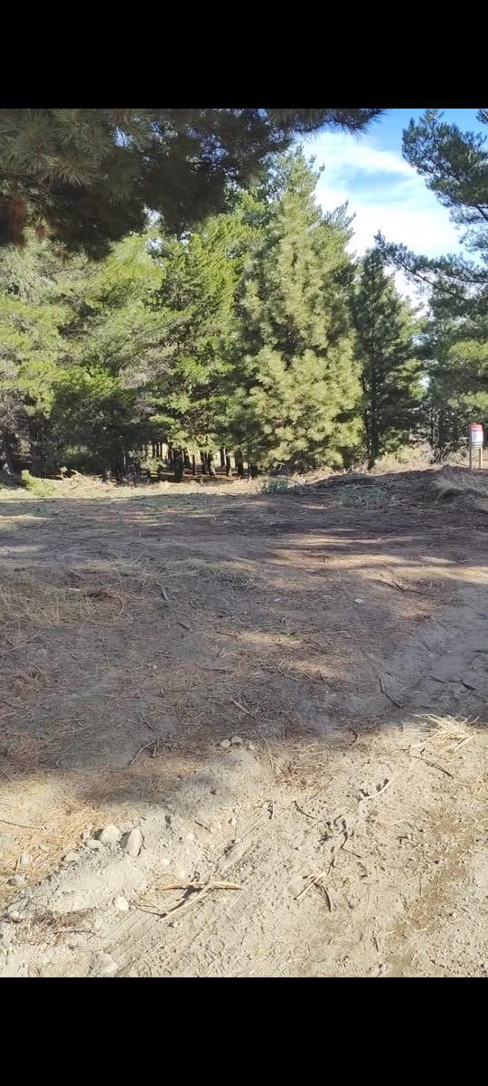 Terreno con 275 m² en El Centro de Dina Huapi - Dina Huapi 4