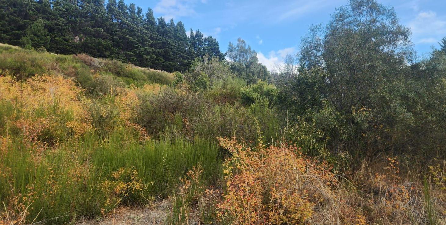 Foto de Terreno en costa del sol, imagen 5
