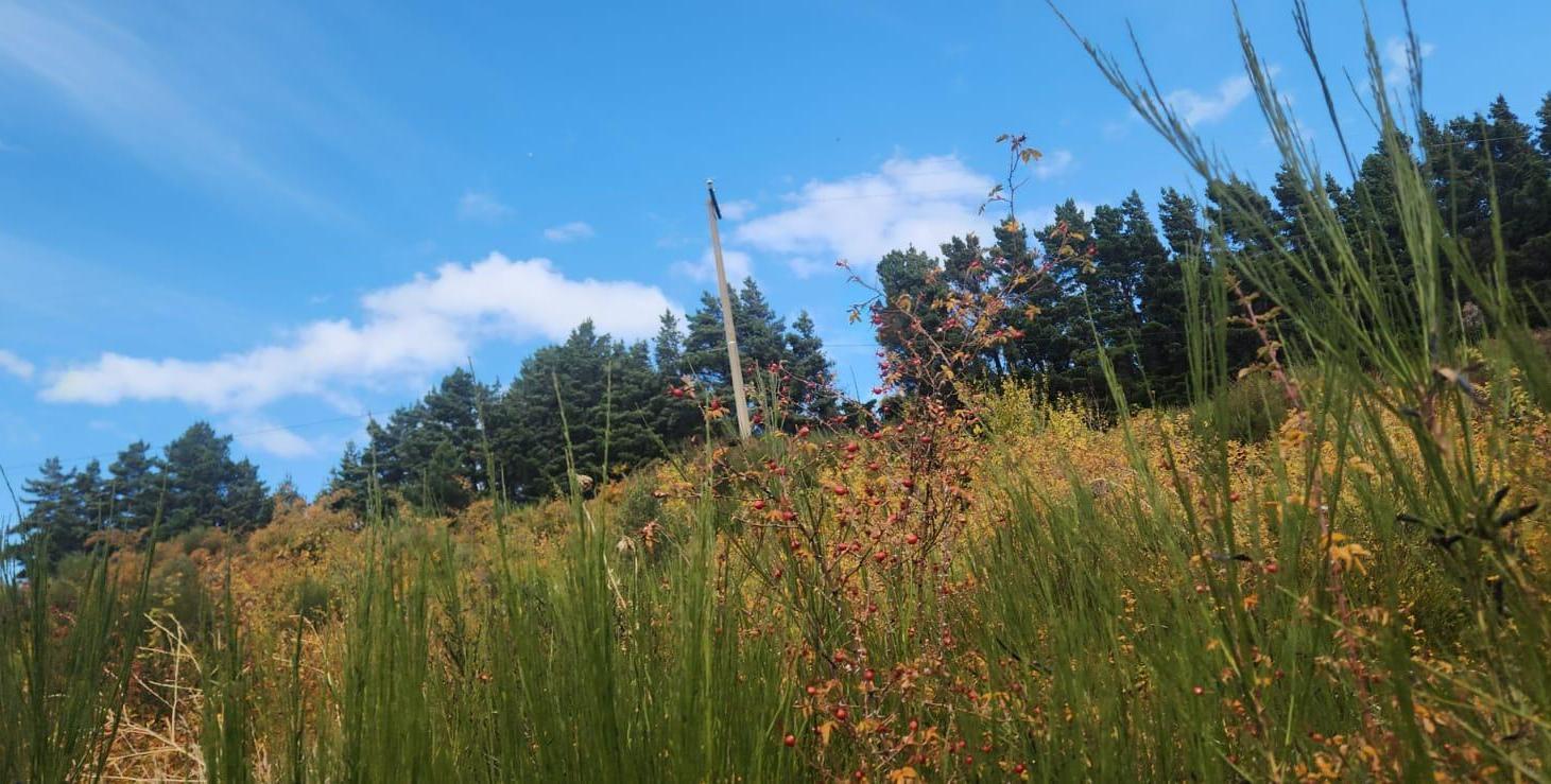 Foto de Terreno en costa del sol, imagen 3