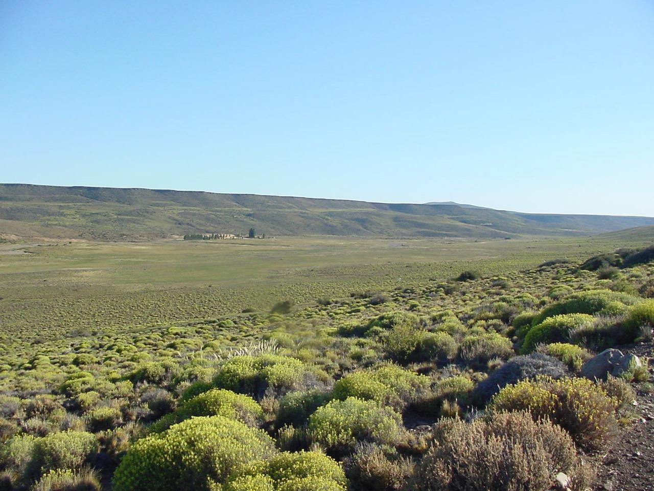 Campo en Rio Negro