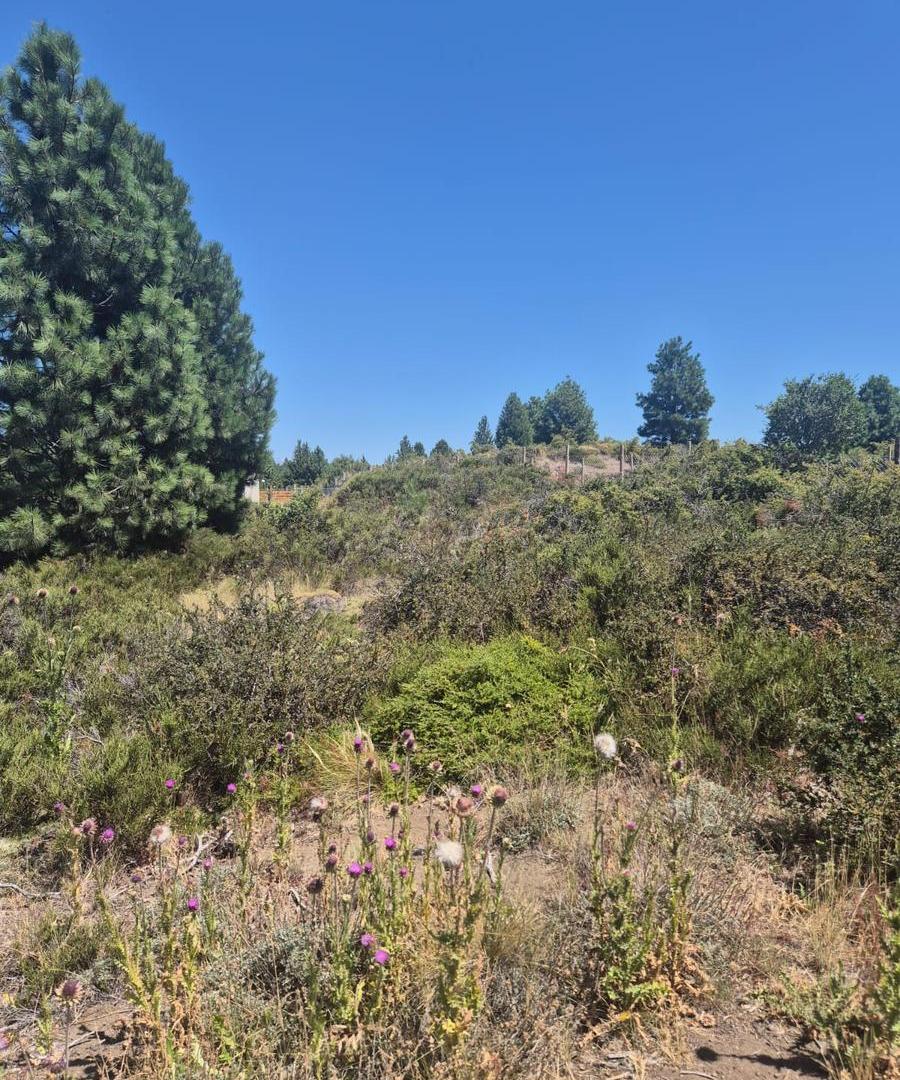 VENTA LOTE N°36 PASEO DE LOS ABEDULES B° SOLARES