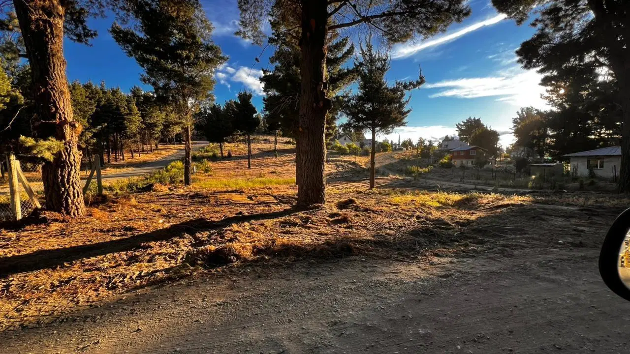 Venta Terreno Nogales y Petunia 2