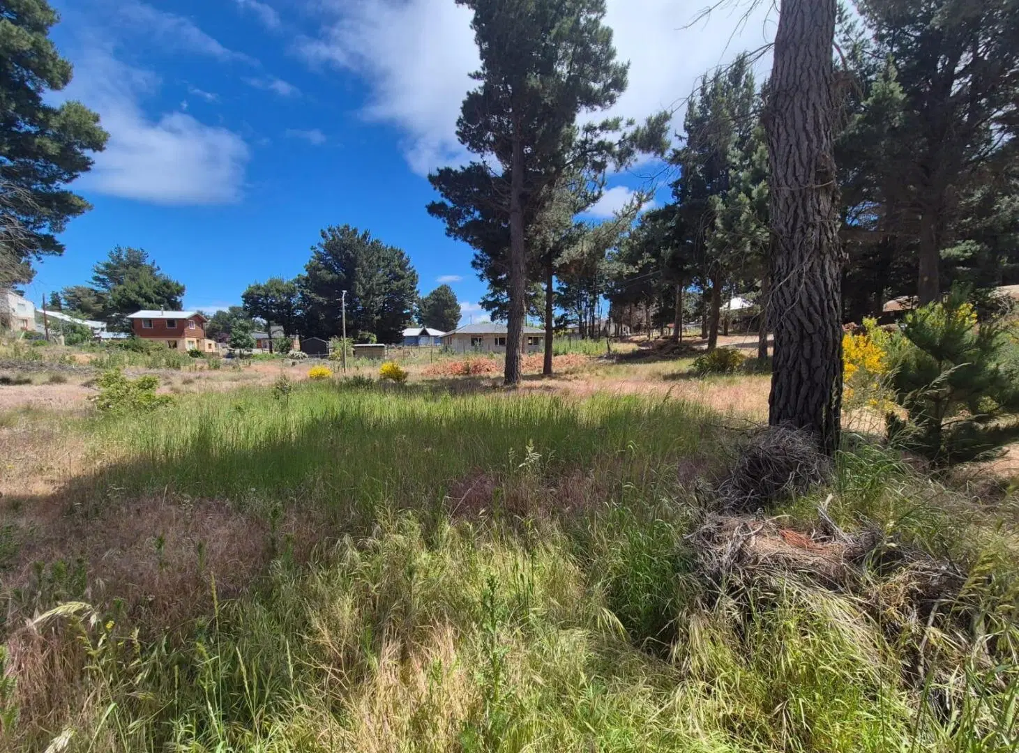 Venta Terreno Nogales y Petunia 4