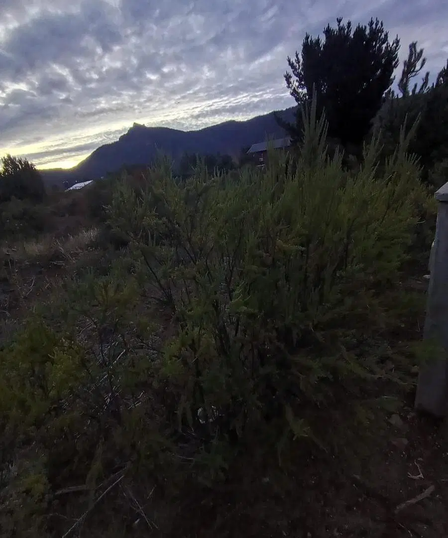 Terreno en Lomas del Cauquen 5