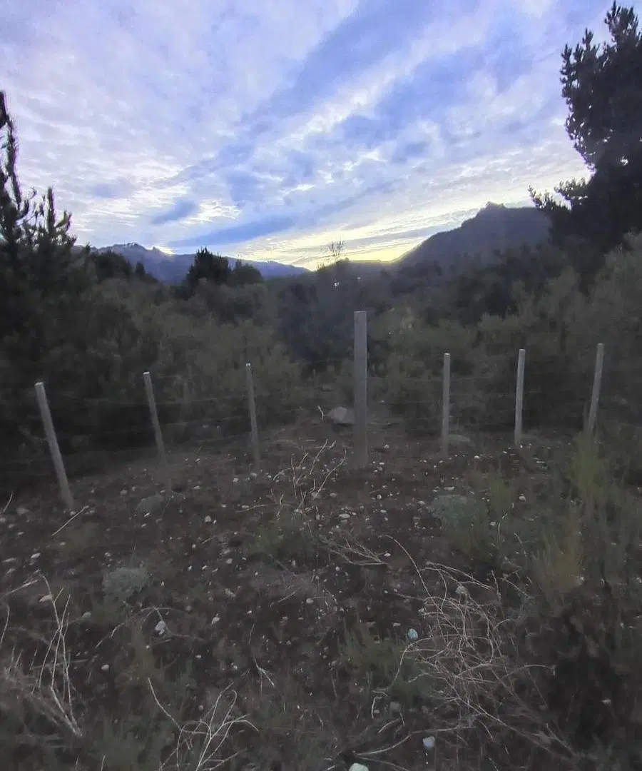Terreno en Lomas del Cauquen 2