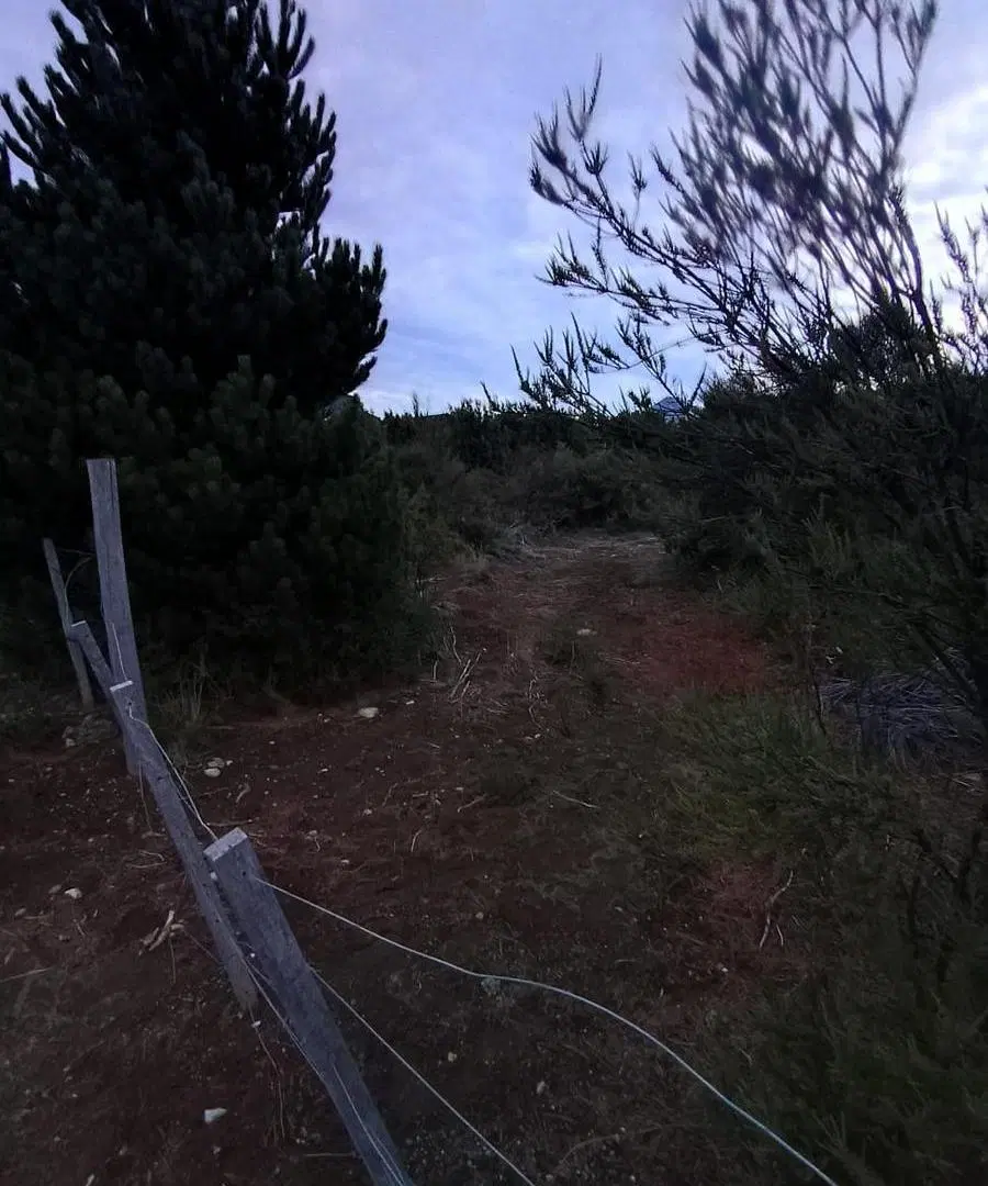 Terreno en Lomas del Cauquen 4