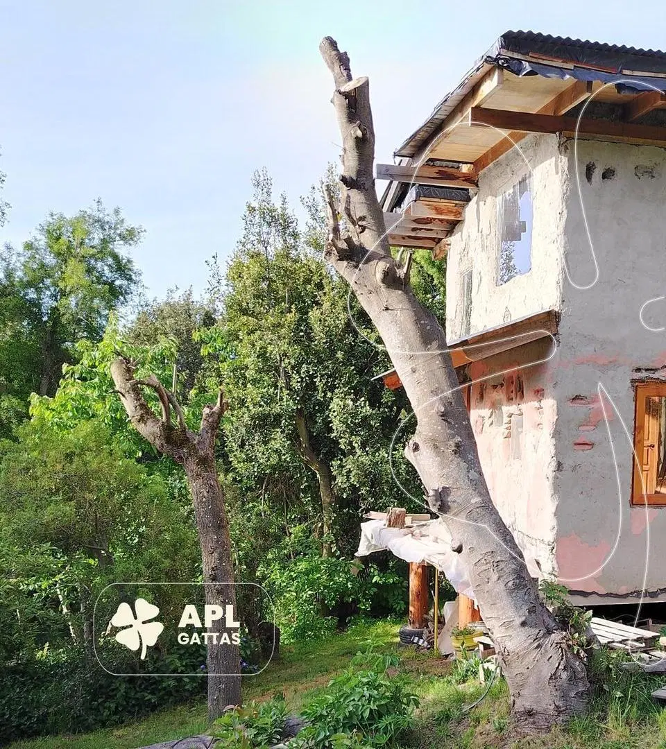 Casa en Parque El Faldeo 4