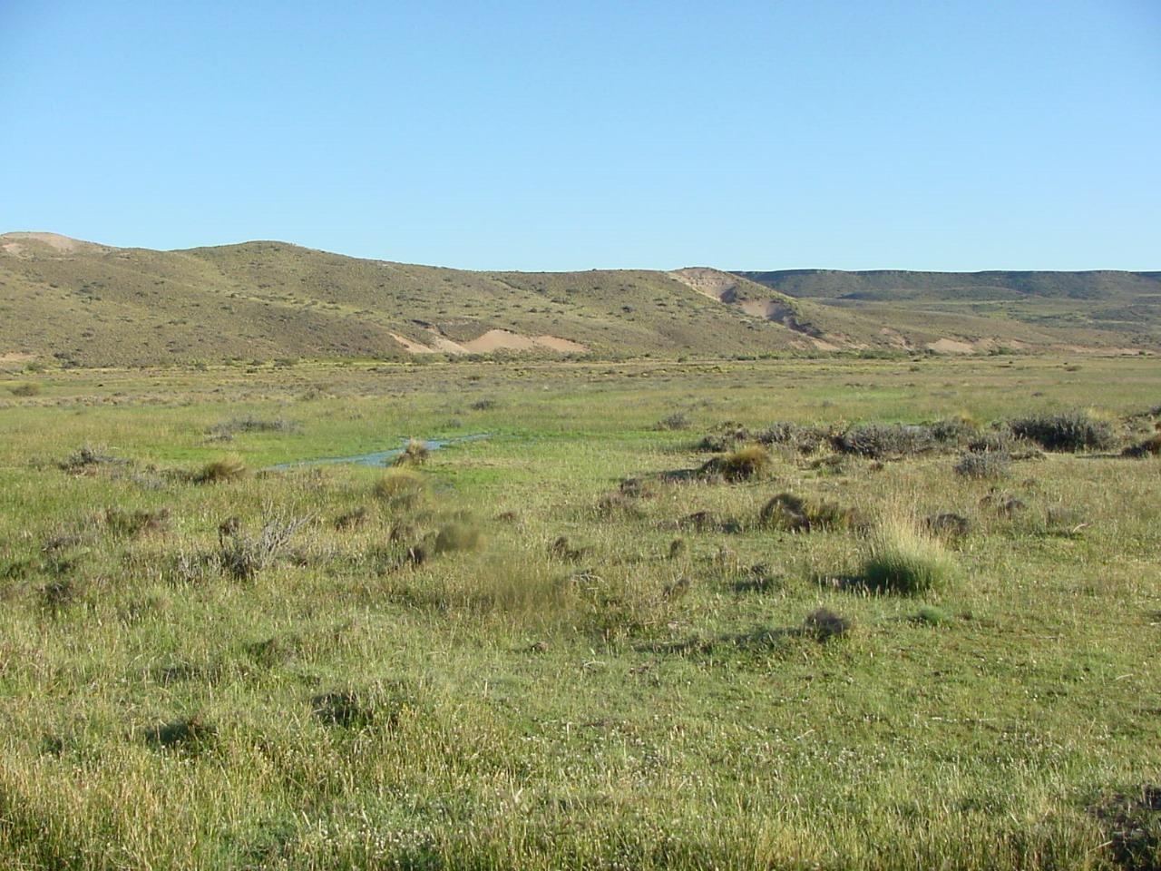 Foto de Campo en Rio Negro, imagen 2