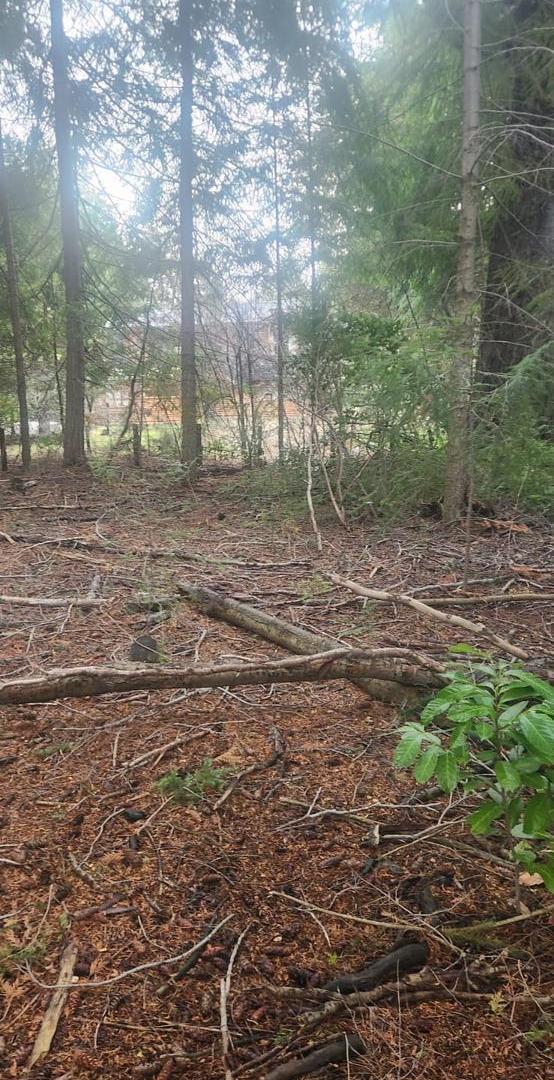 Foto de Terreno en San Carlos De Bariloche, imagen 5