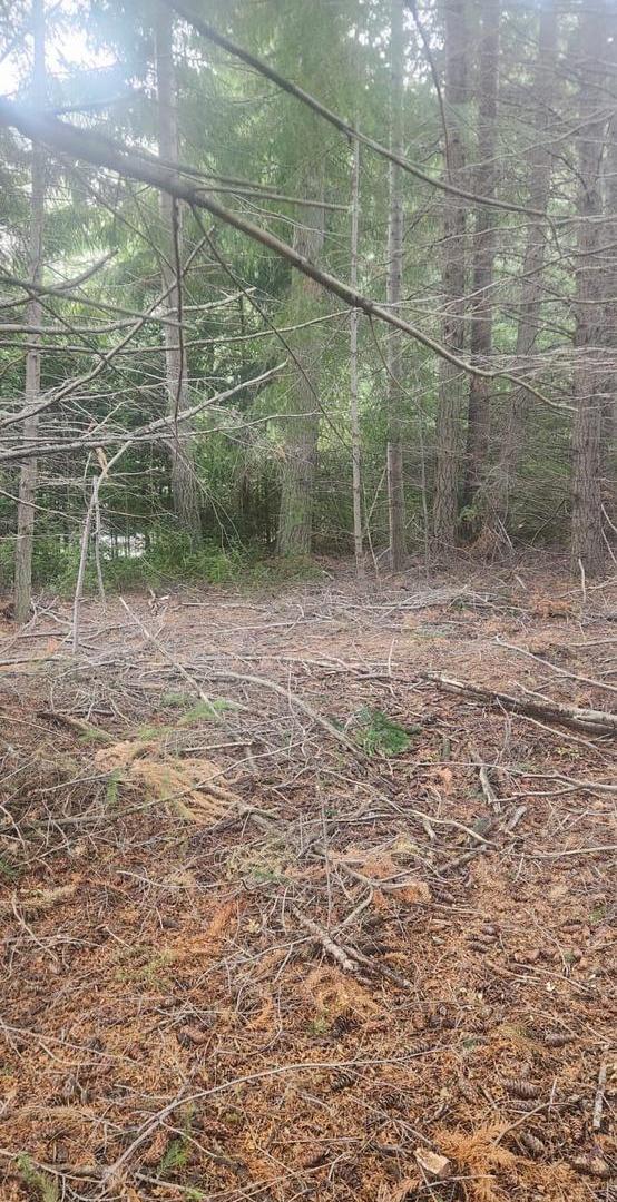 Foto de Terreno en San Carlos De Bariloche, imagen 2