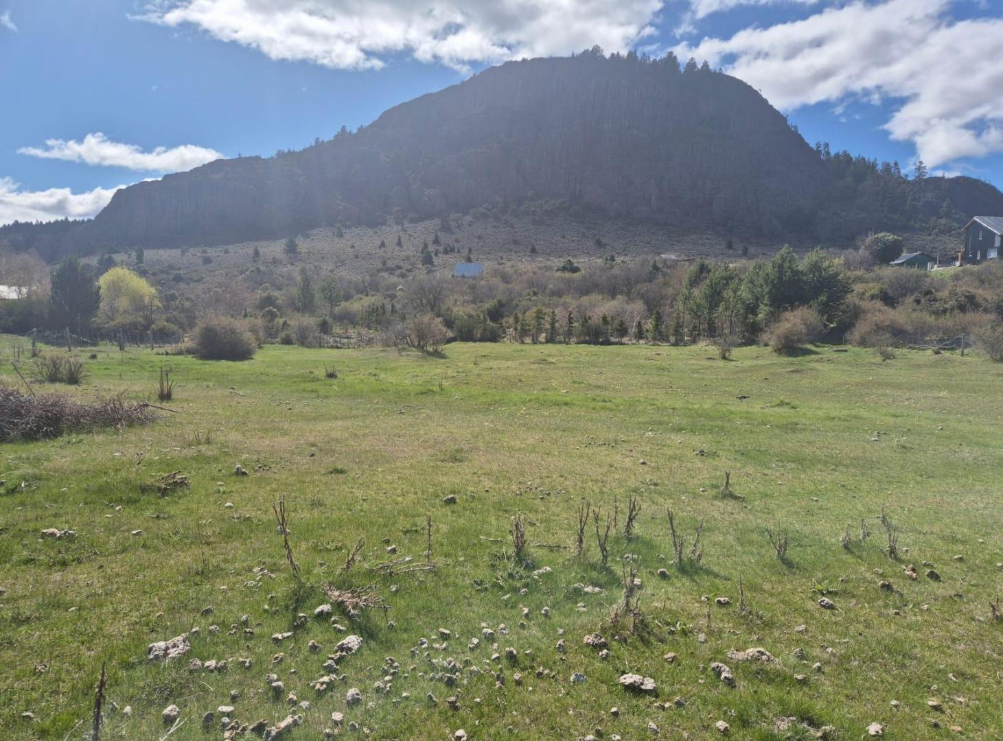 Foto de Terreno en Ñirihuau, imagen 2
