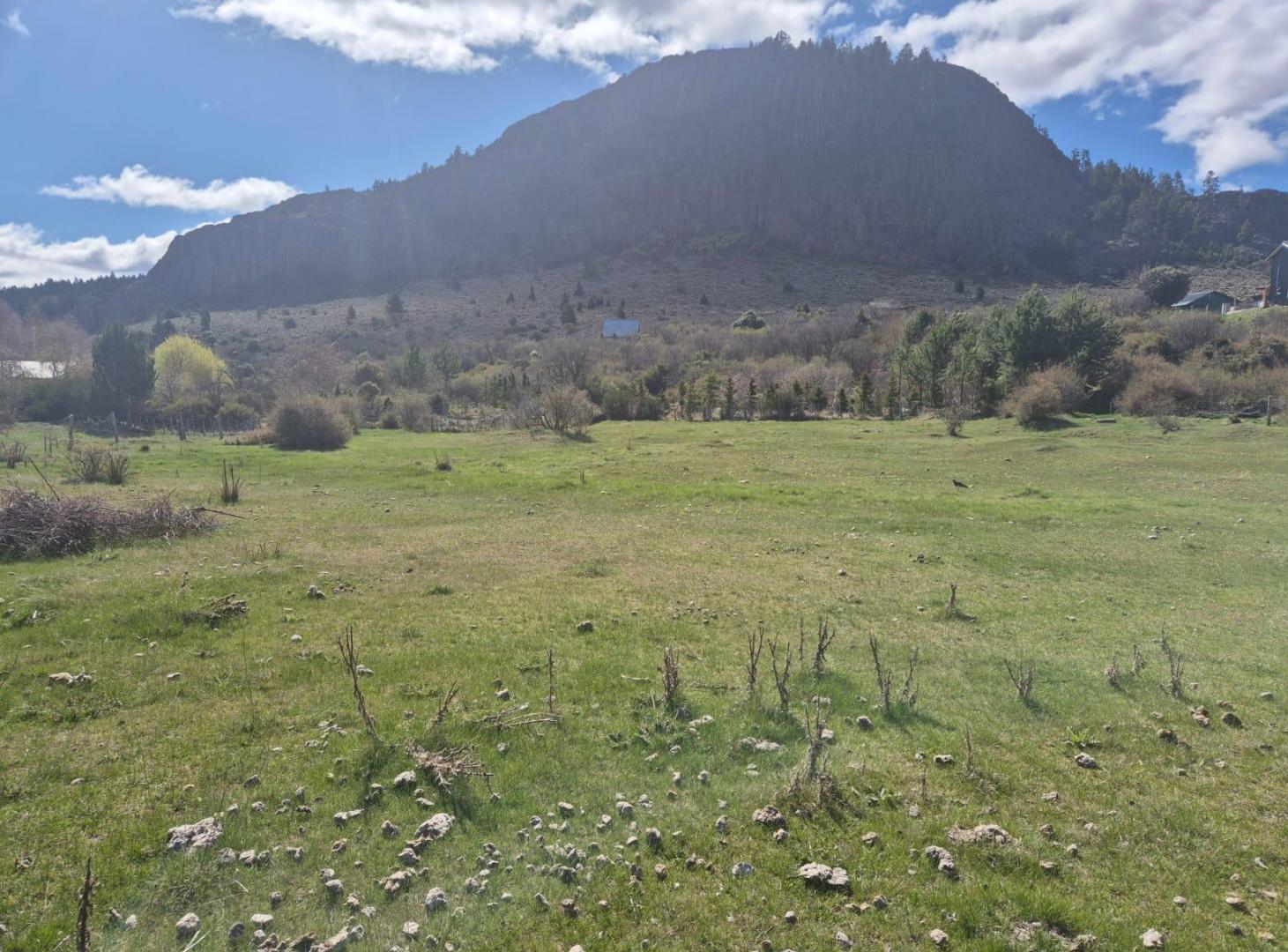 Foto de Terreno en Ñirihuau, imagen 3