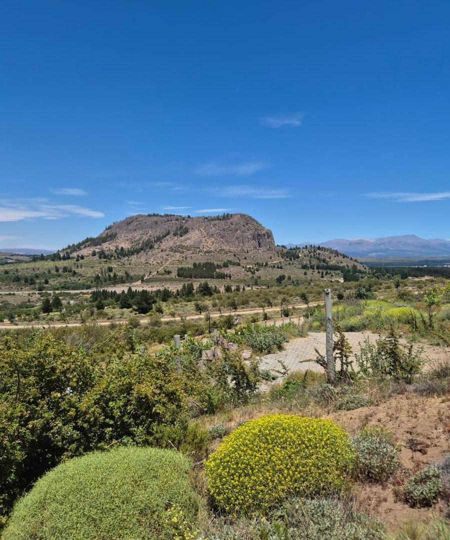 Foto de Terreno en Dina Huapi, imagen 3