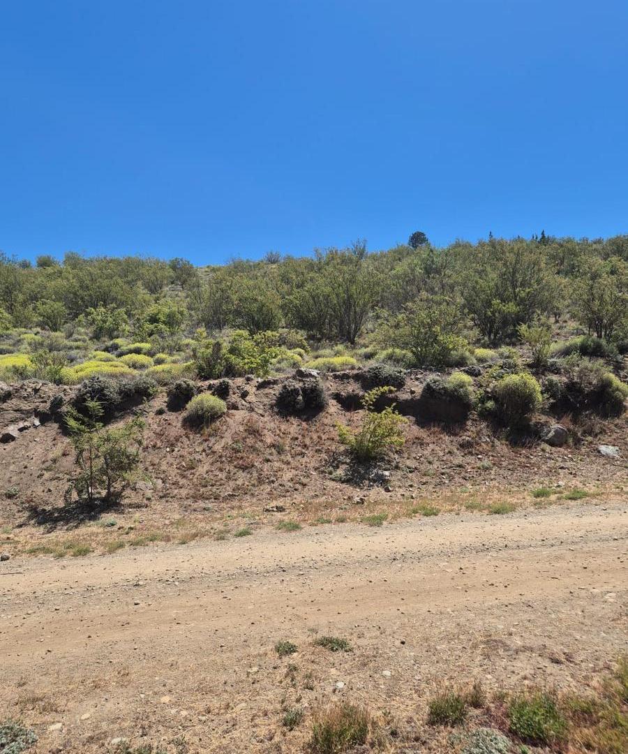 Foto de Terreno en Dina Huapi, imagen 4