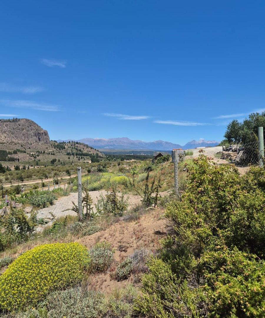 Foto de Terreno en Dina Huapi, imagen 5