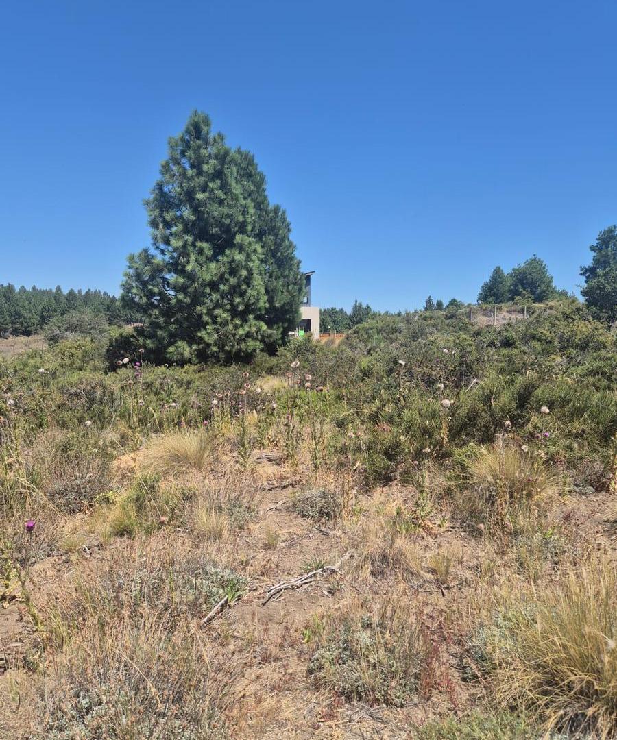 Foto de VENTA LOTE N°36 PASEO DE LOS ABEDULES B° SOLARES, imagen 1