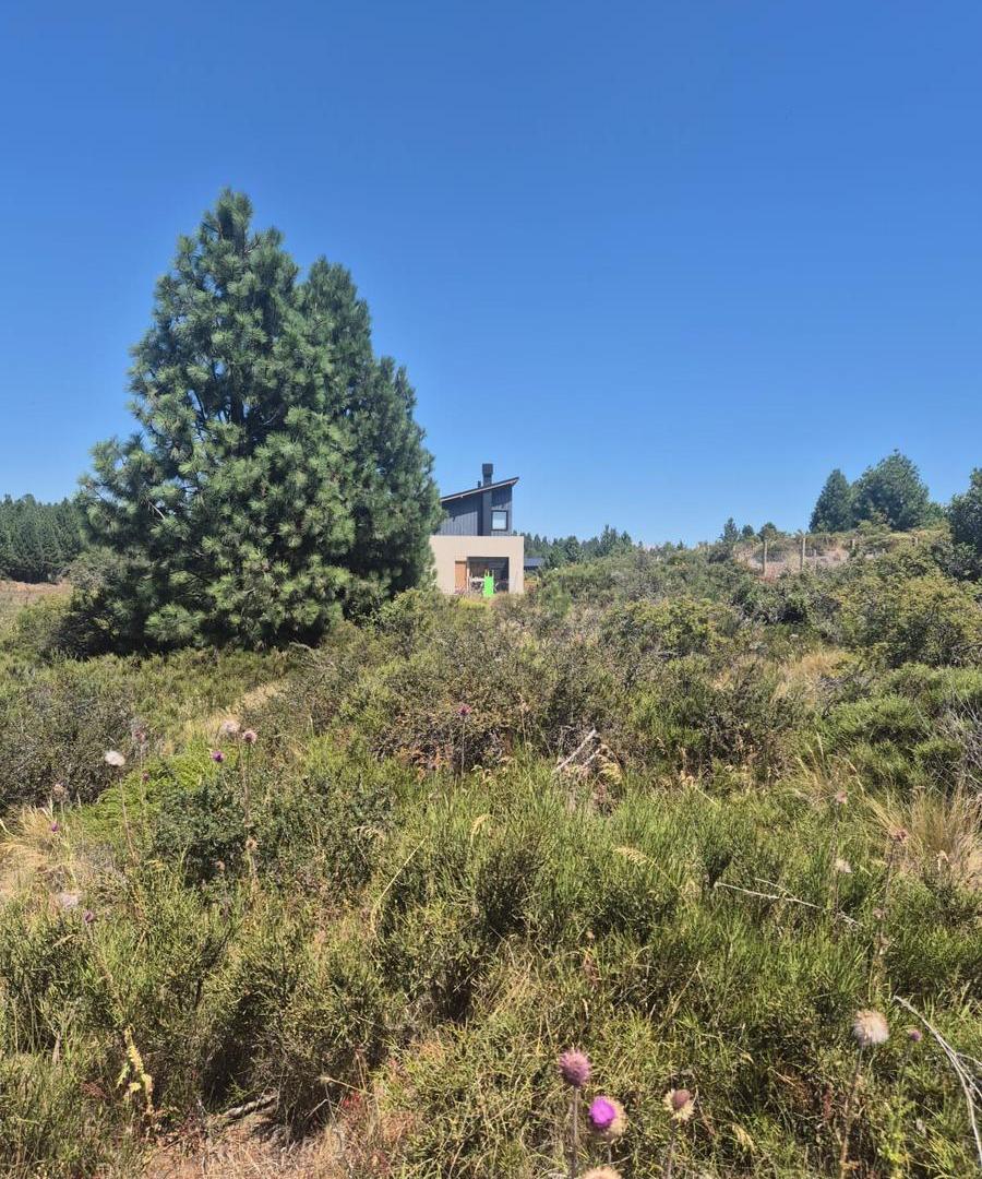 Foto de VENTA LOTE N°36 PASEO DE LOS ABEDULES B° SOLARES, imagen 2
