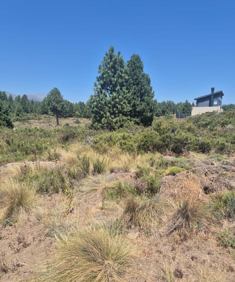 Foto de VENTA LOTE N°36 PASEO DE LOS ABEDULES B° SOLARES, imagen 3