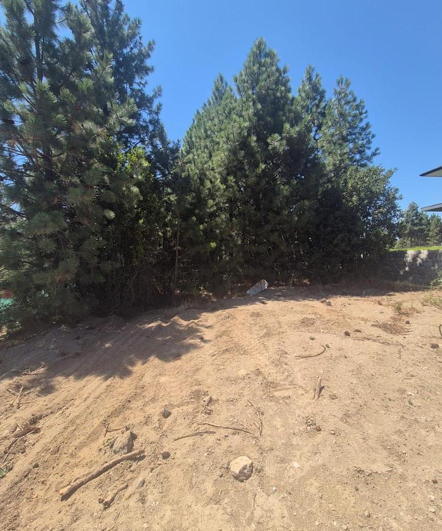 Foto de VENTA LOTE SOLARES, imagen 1