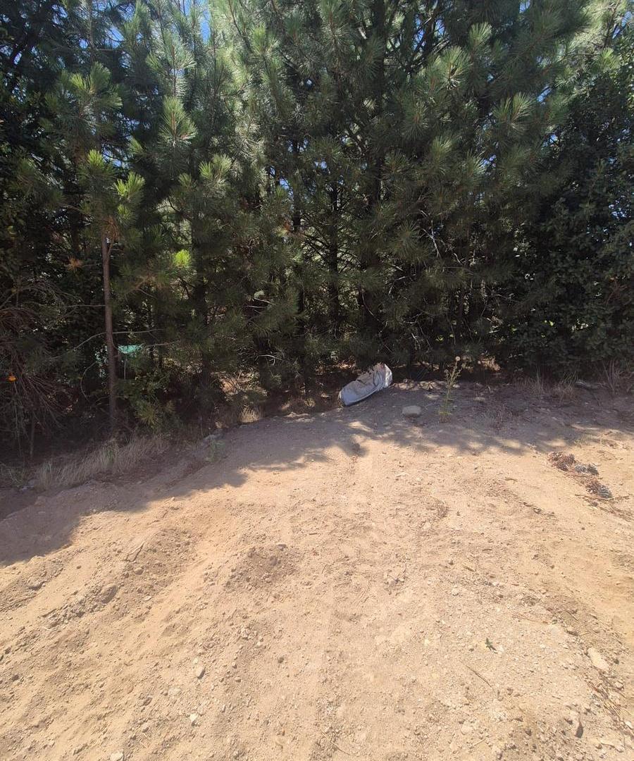 Foto de VENTA LOTE SOLARES, imagen 5