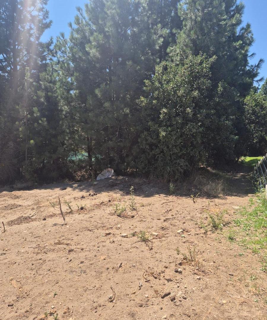 Foto de VENTA LOTE SOLARES, imagen 3