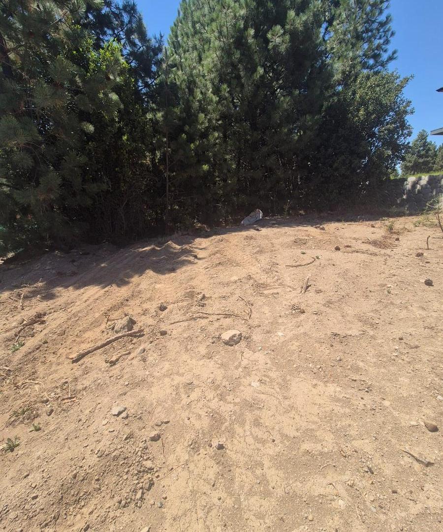 Foto de VENTA LOTE SOLARES, imagen 4