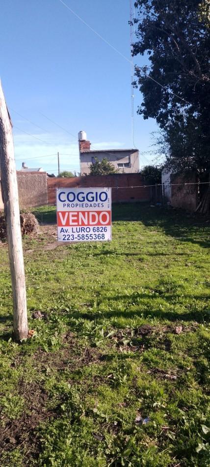 Foto de TERRENO, imagen 1