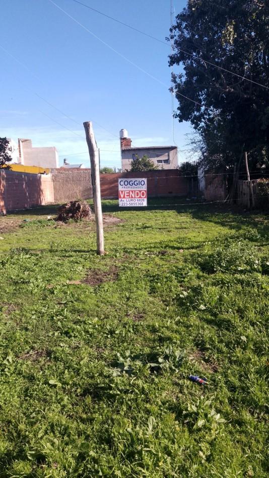 Foto de TERRENO, imagen 2