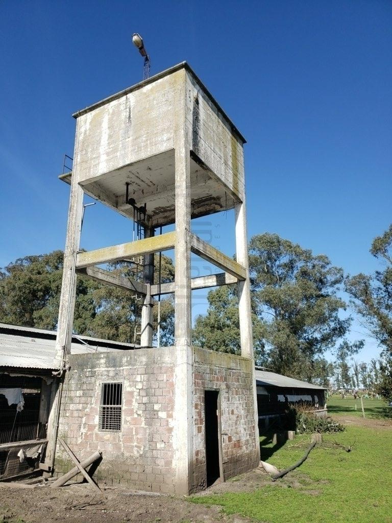 Granja Avícola 3