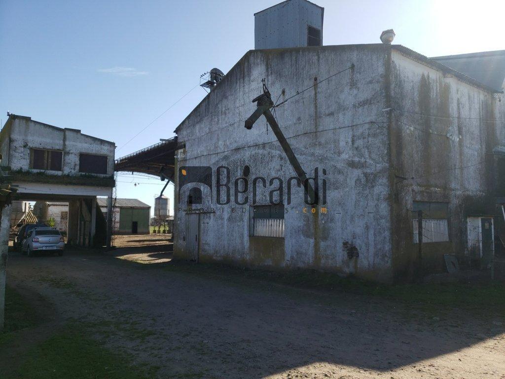 Granja Avícola 5