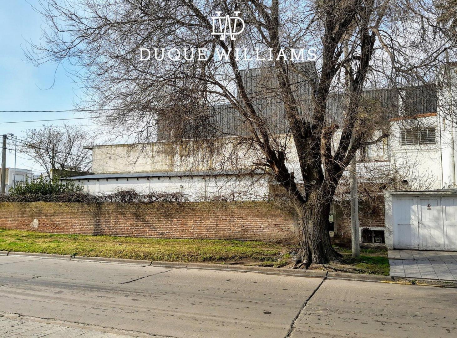 Foto de Local comercial en Venta en Mar Del Plata, imagen 5