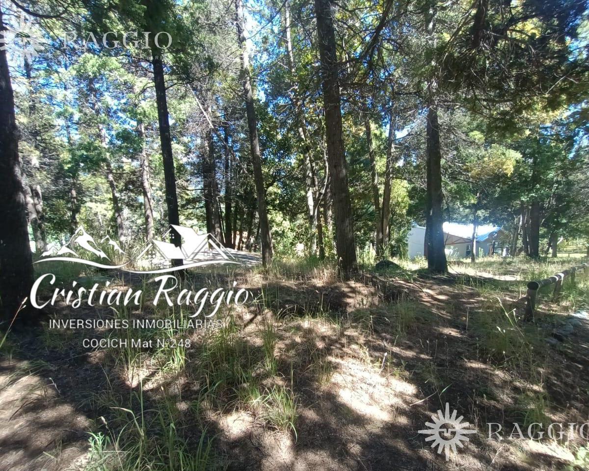 Chacra de 7800 m² en El Bolsón, Camino a Rinconada Nahuelpan (So - 21) 1