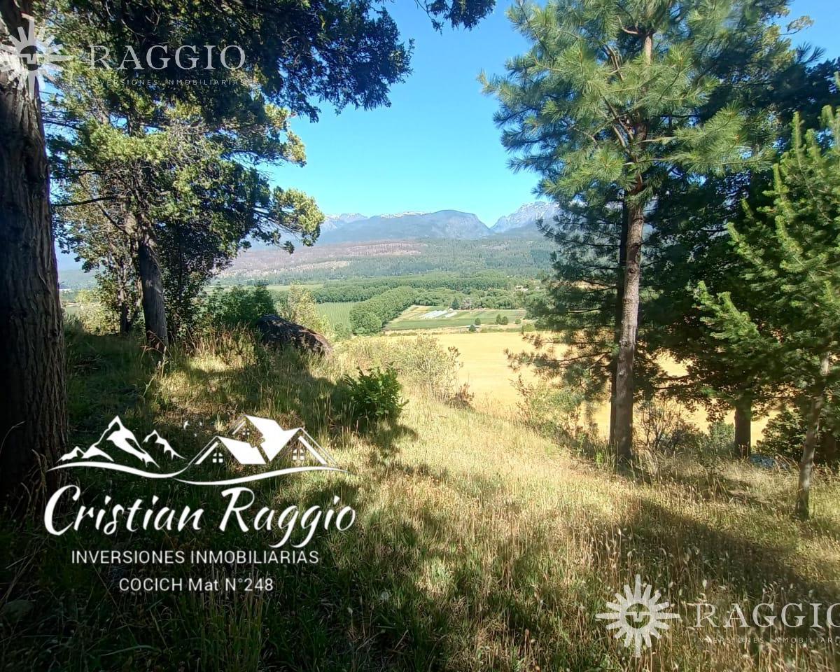 Chacra de 7800 m² en El Bolsón, Camino a Rinconada Nahuelpan (So - 21) 3
