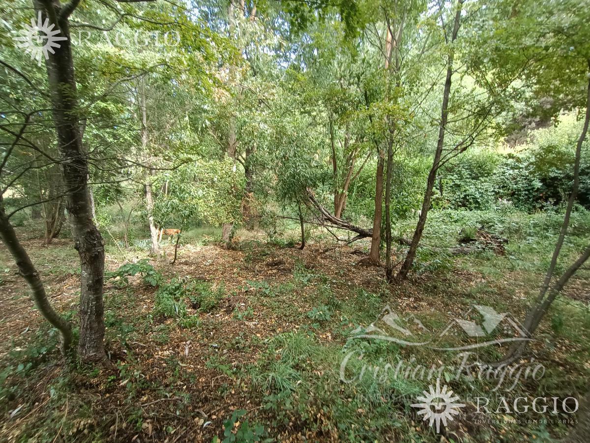 Terreno de 9000 m² en Lago Puelo (Fc - 83) 4