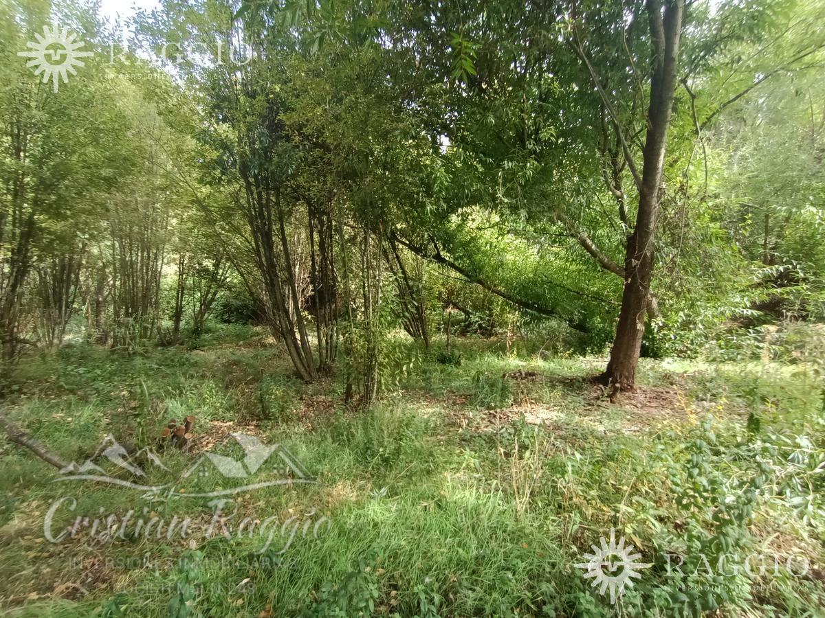 Terreno de 9000 m² en Lago Puelo (Fc - 83) 3
