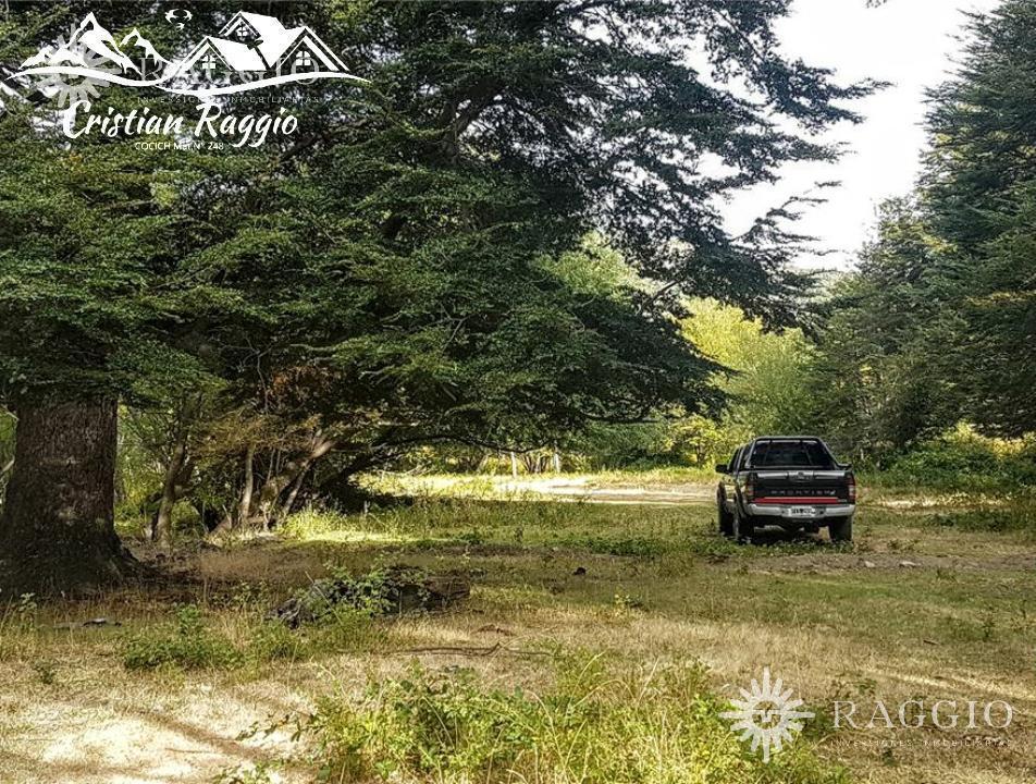 Foto de Terreno de 2 HA, Epuyén (EZ-60), imagen 4