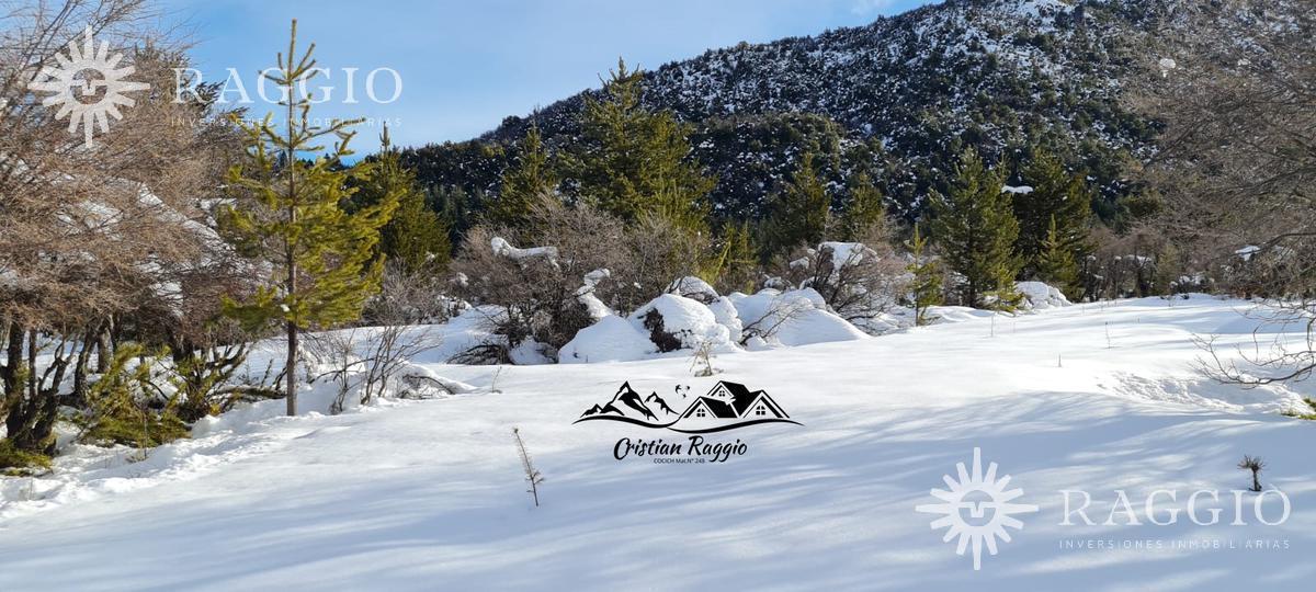Casa 250 m² S/ Terreno 20 Ha, El Foyel (Cr - 99) 2