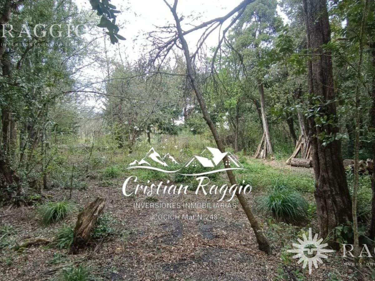 Terreno de 2000 m² en Radal, Lago Puelo (Ez - 3) 2