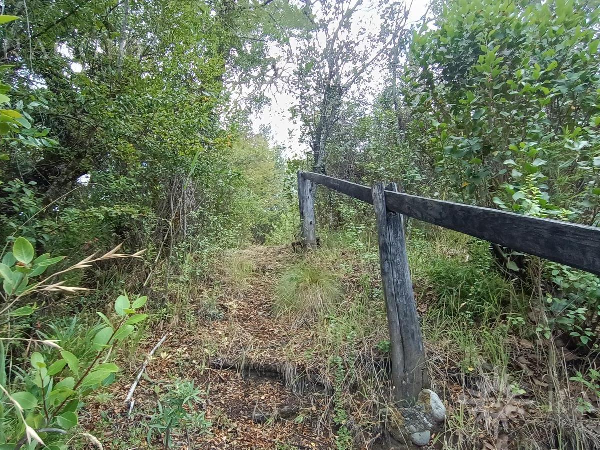 Chacra de 13has en Mallín Ahogado con Acceso a Costa de Arroyo del Medio (Fc - 182) 2