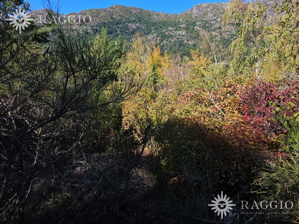 Terreno de 120 m² Sobre Av Principal en Lago Puelo (Fc - 87) 3