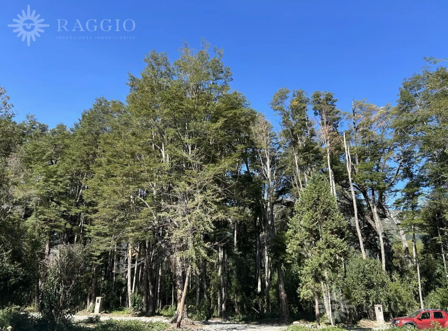 Terrenos en Lago Puelo Las Vertientes - Posible financiacion (NR-13) 1