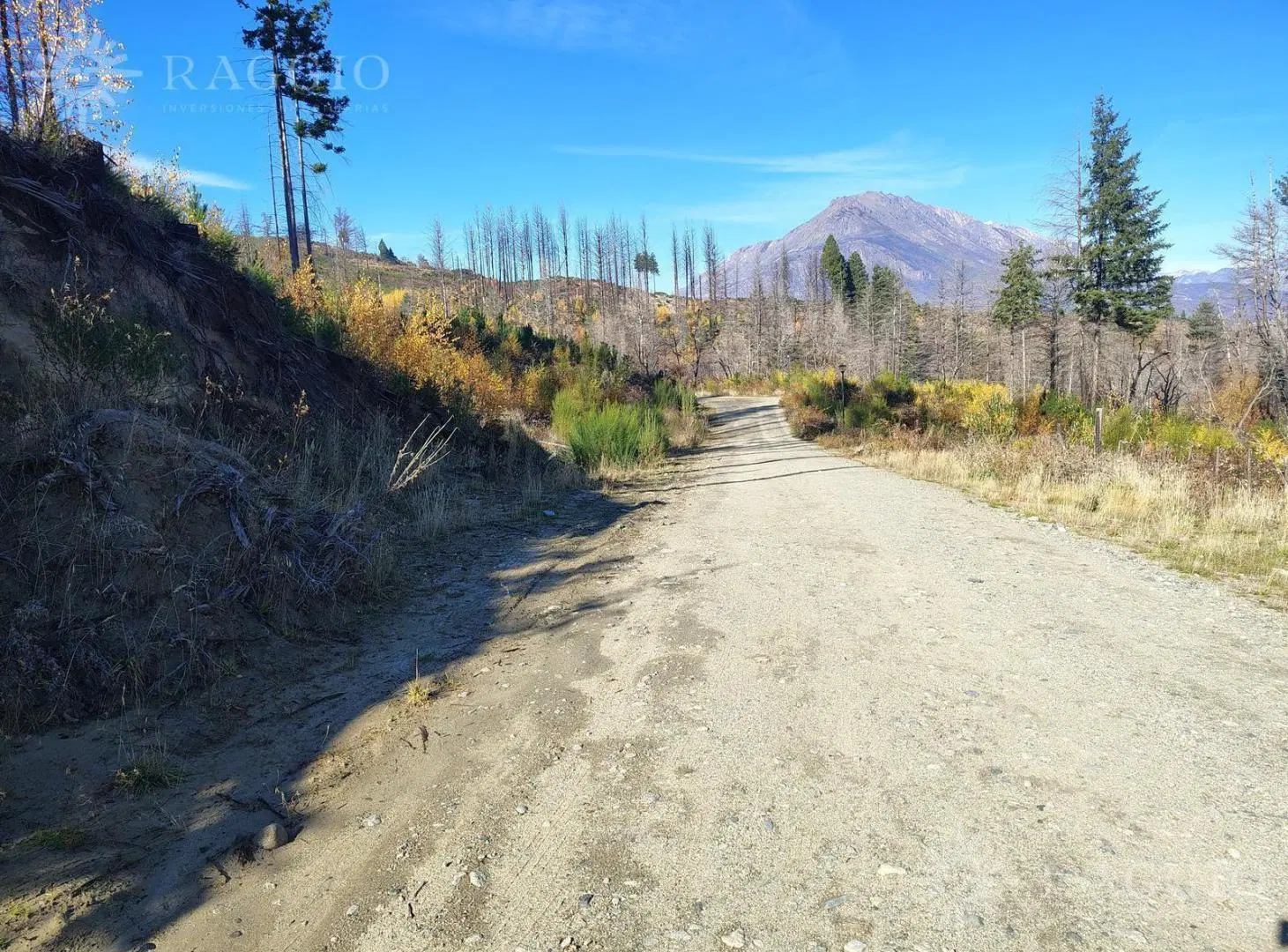 Terrenos de 9.000 m2 en Lago Puelo, Paraje Radal (FC-237) 4