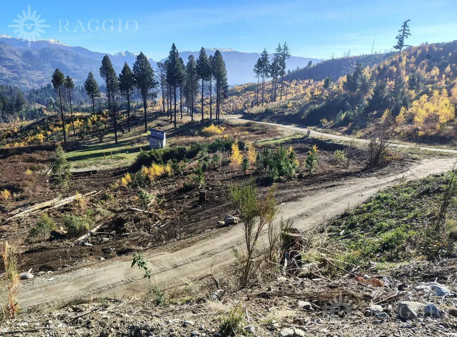 Terrenos de 9.000 m2 en Lago Puelo, Paraje Radal (FC-237) 2