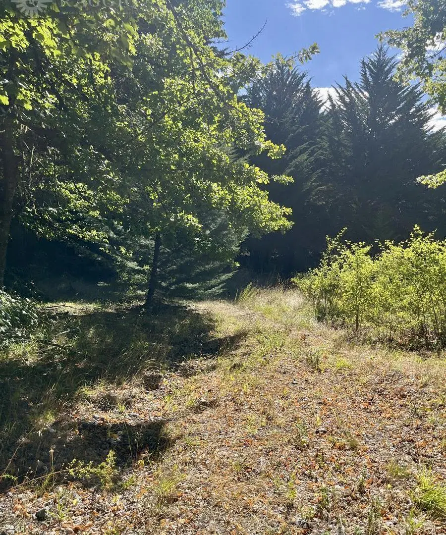 Terreno de 2000m2 en Golondrinas (FR-8) 2