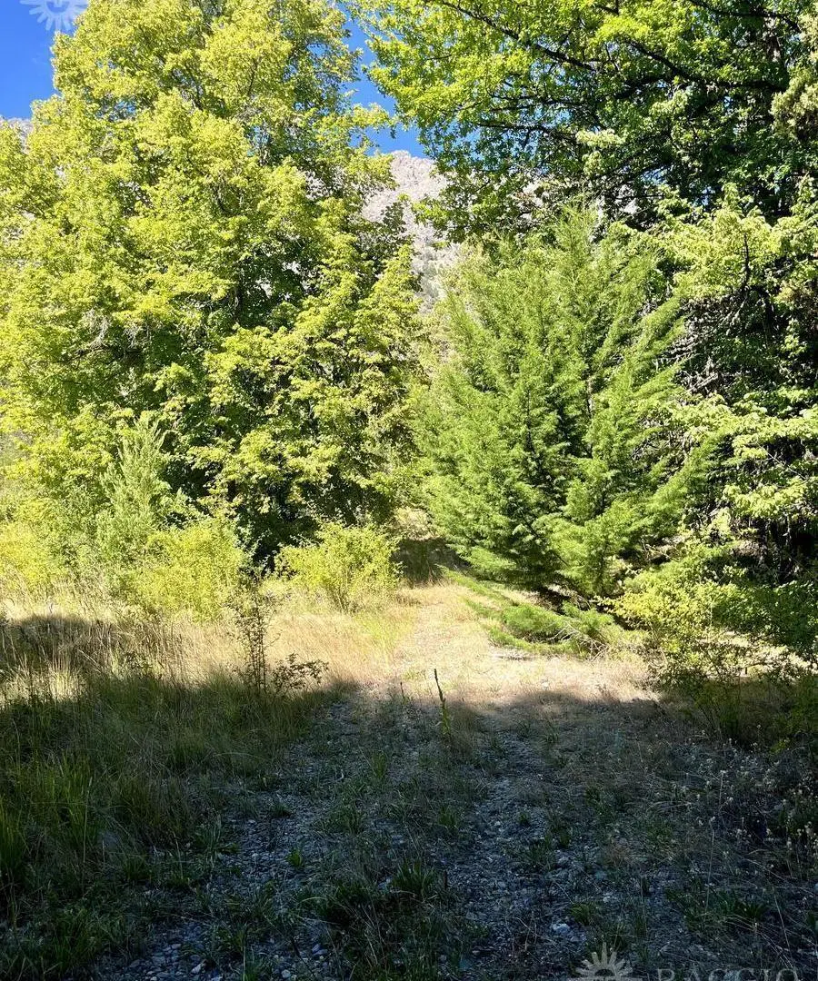 Terreno de 2000m2 en Golondrinas (FR-8) 5