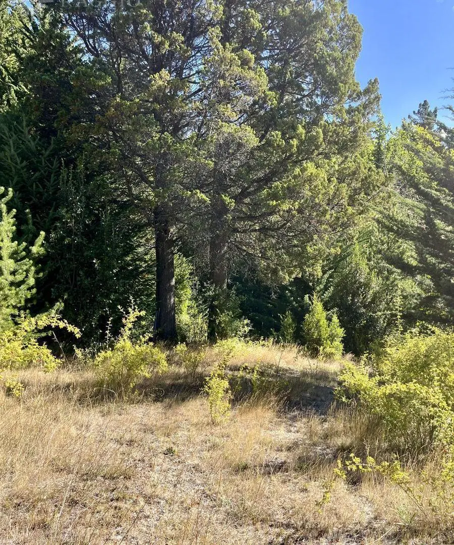 Terreno de 2000m2 en Golondrinas (FR-8) 3
