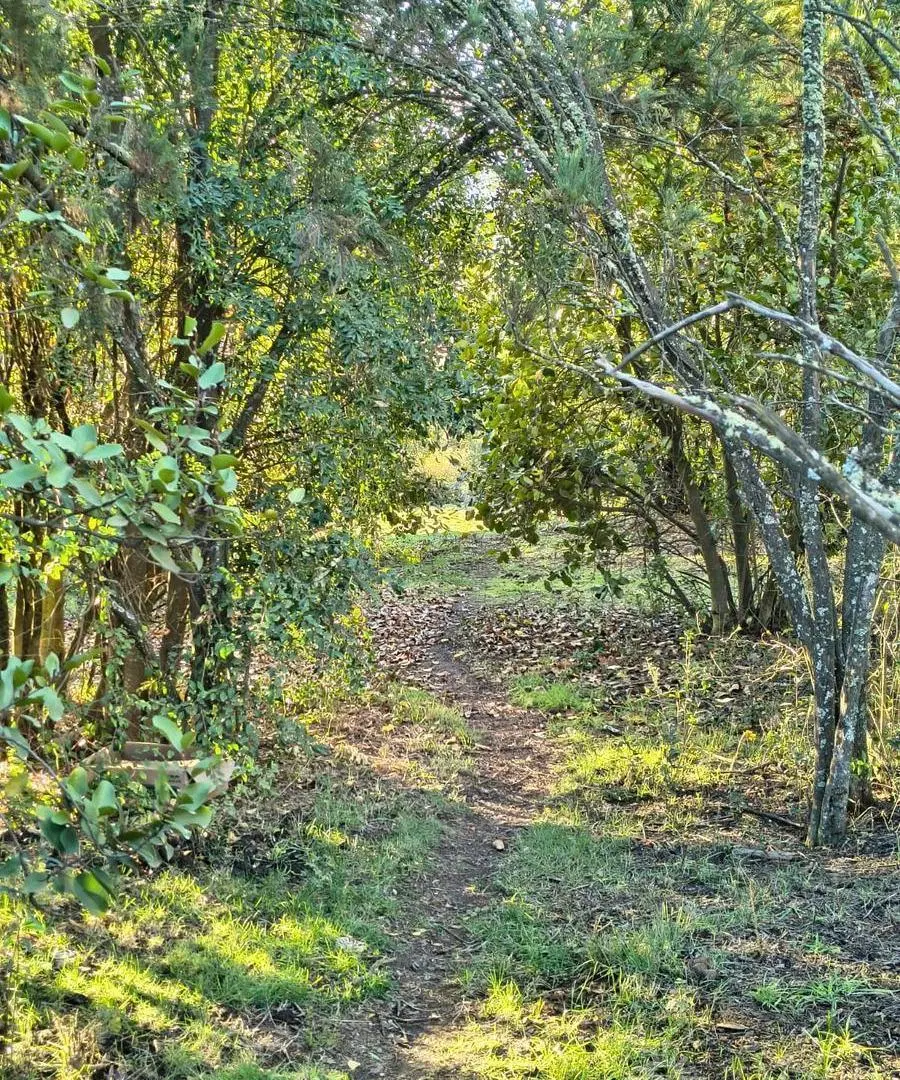 Terreno 800m2, El Bolsón Buena Vista(MG-11) 8
