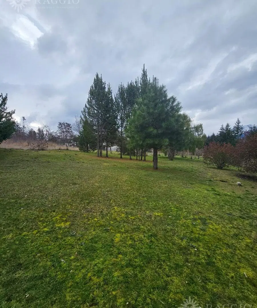 Terreno en Las Golondrinas 8