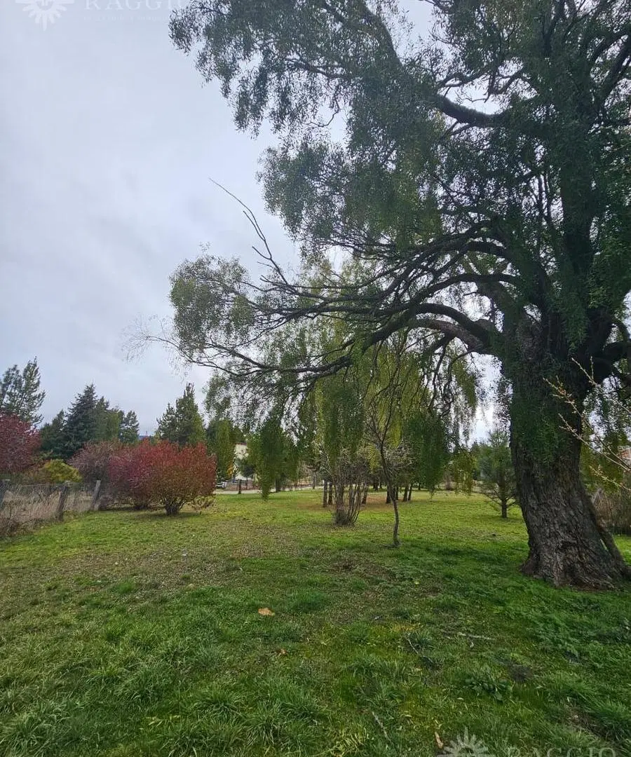 Terreno en Las Golondrinas 1