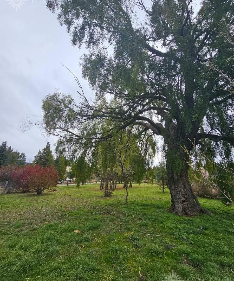 Terreno en Las Golondrinas 5